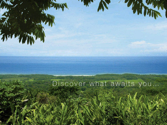 Costa Rica Real Estate